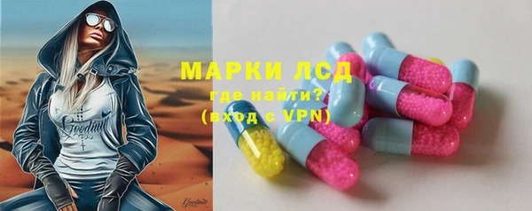 прущие грибы Алексеевка