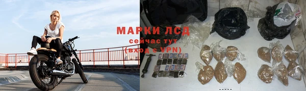 ГАЛЛЮЦИНОГЕННЫЕ ГРИБЫ Алзамай