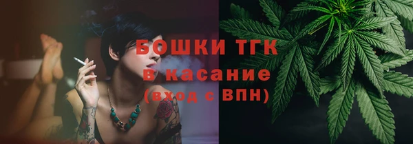 ГАЛЛЮЦИНОГЕННЫЕ ГРИБЫ Алзамай