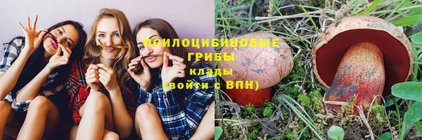 ГАЛЛЮЦИНОГЕННЫЕ ГРИБЫ Алзамай