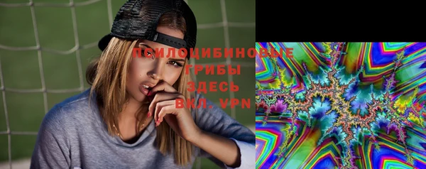 прущие грибы Алексеевка